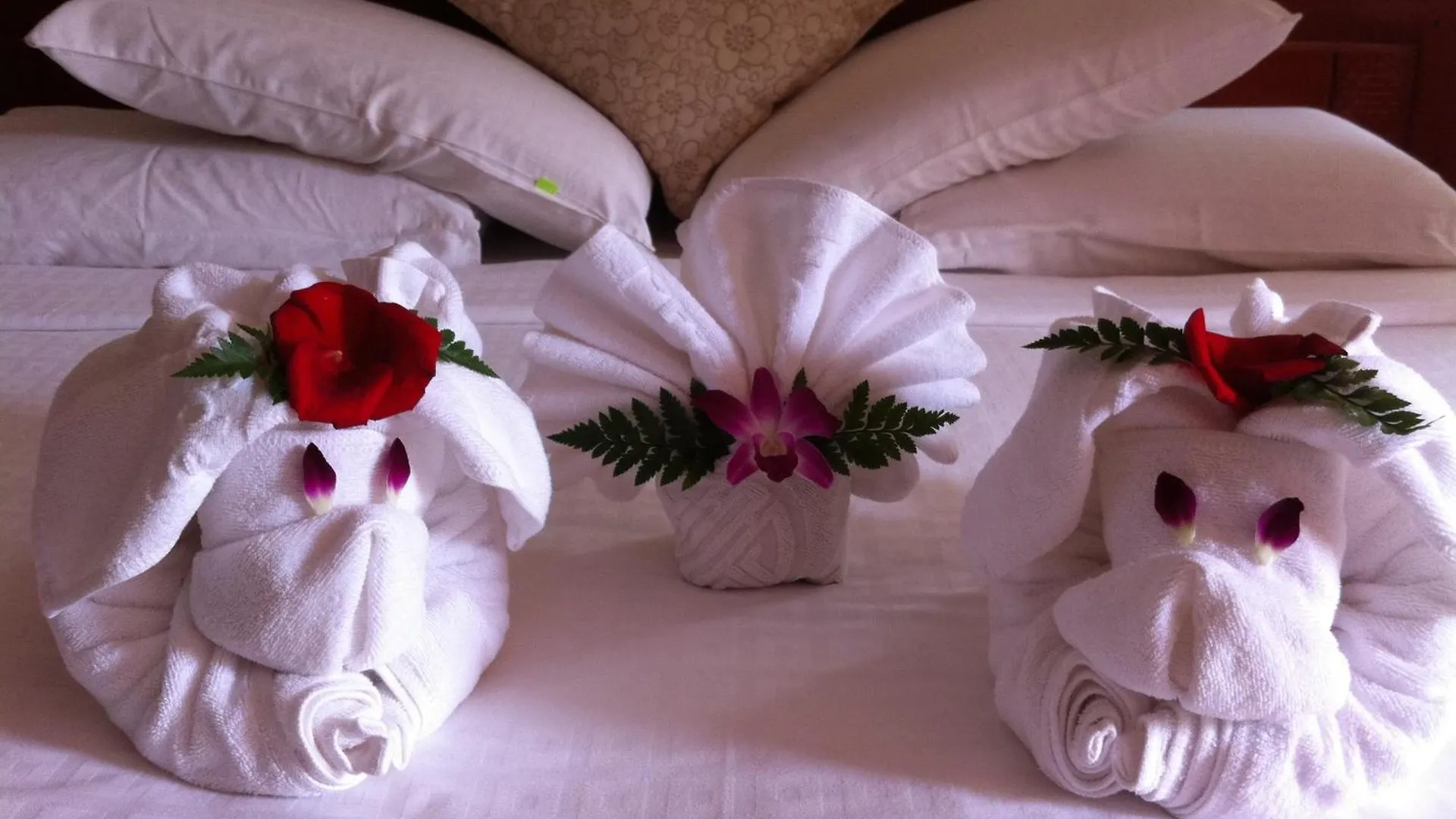 Long Life Riverside Hotel Hoi An