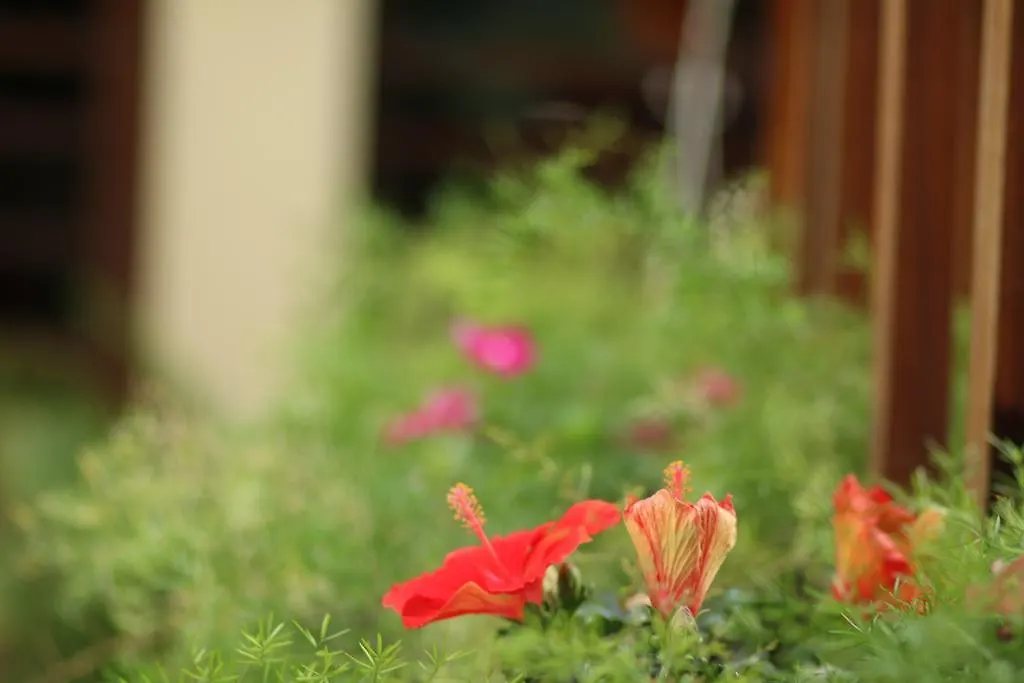 Long Life Riverside Hotel Hoi An Vietnam