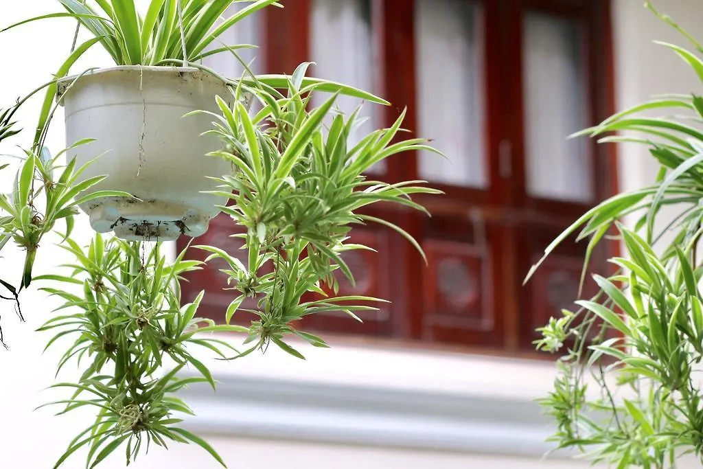 Long Life Riverside Hotel Hoi An