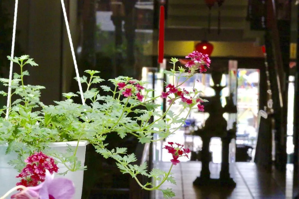 Long Life Riverside Hotel Hoi An